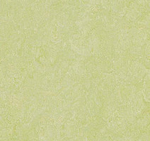 Линолеум Forbo Marmoleum Marbled Real 3881 Green Wellness фото 1 | FLOORDEALER